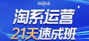 淘系运营21天速成班，0基础轻松搞定淘系运营，不做假把式，快速复制落地(更新26年6月)-优品网赚资源库