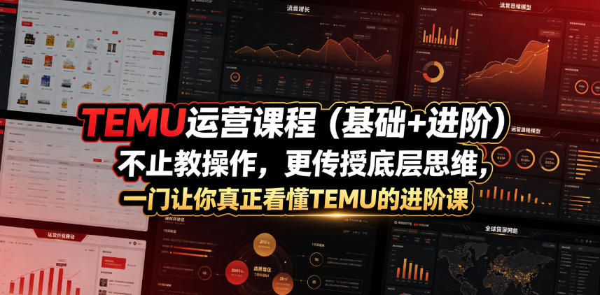 TEMU运营课程（基础+进阶），不止教操作，更传授底层思维，一门让你真正看懂TEMU的进阶课-优品网赚资源库