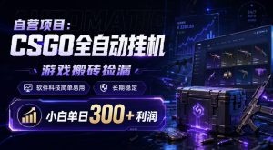 自营项目：CSGO全自动挂G，游戏搬砖捡漏，软件科技简单易用，长期稳定，小白单日300+利润【揭秘】-优品网赚资源库