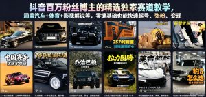 抖音百万粉丝博主的精选独家赛道教学，涵盖汽车+体育+影视解说等，零基础也能快速起号、涨粉、变现-优品网赚资源库