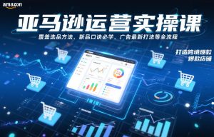 亚马逊运营实操课，覆盖选品方法、新品口诀必学、广告最新打法等全流程，打造跨境爆款店铺（更新6月）-优品网赚资源库