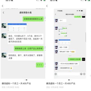 薅流虚拟2.0陪跑课,0成本AI流程化操作,淘宝+闲鱼同步玩法,上一次货两个平台有收益,单店每天200纯利润-优品网赚资源库