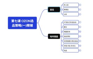 2026最新OZON全流程运营实操跨境电商平台教程,OZON全流程一站式系统学习必修课,从开店到跟卖到精铺-优品网赚资源库